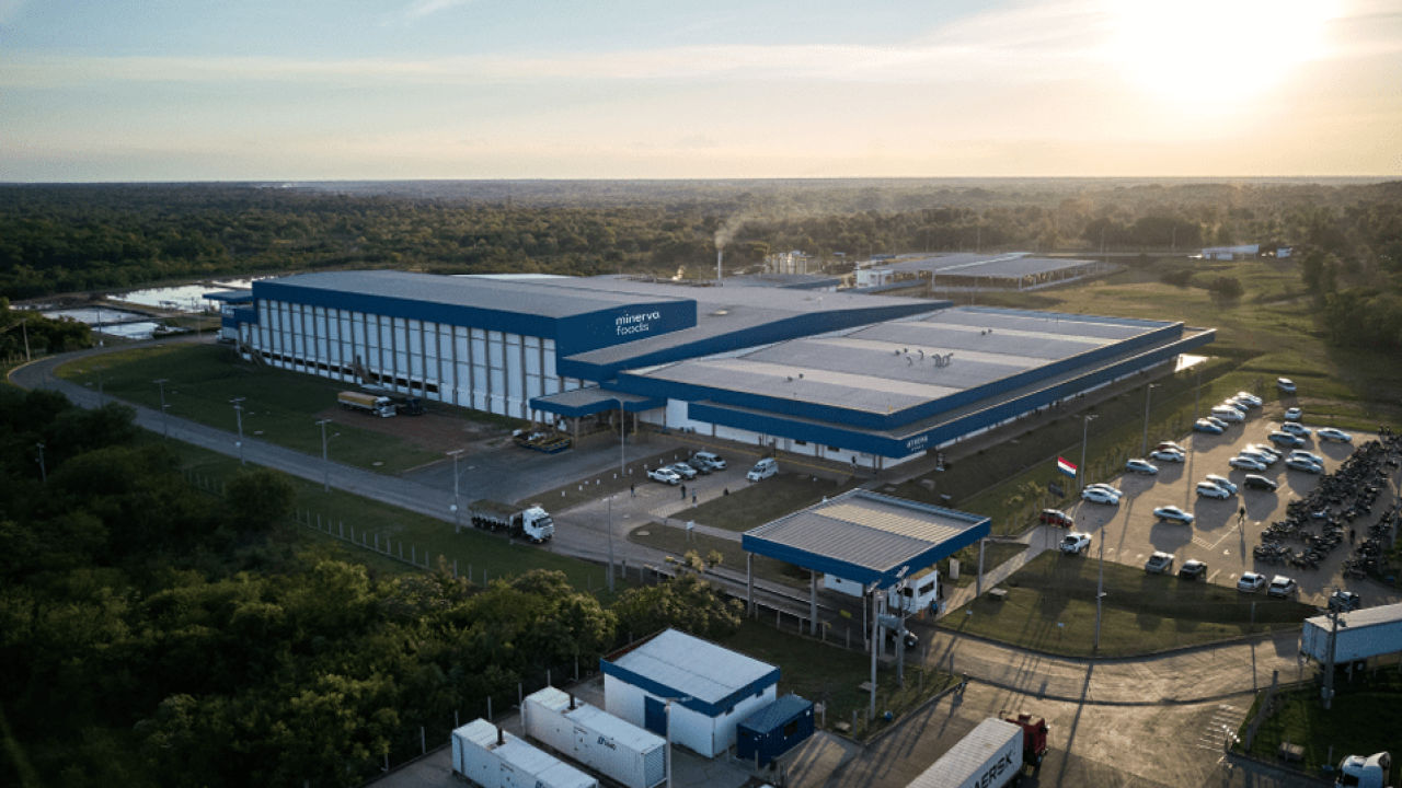 Minerva Foods marca récord de utilidades con fuerte presencia en Chile