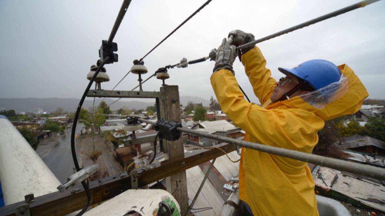 Sernac : un león al que le tiemblan los dientes con las eléctricas