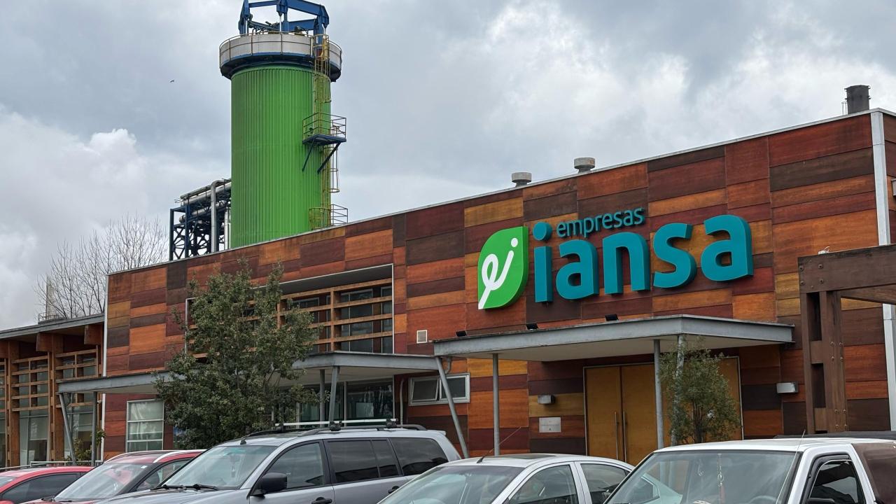 Multa histórica a directores de Iansa por uso de información privilegiada