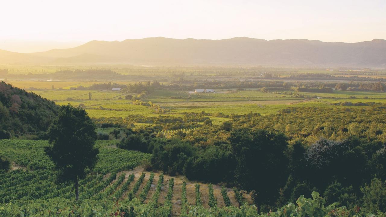 La agricultura orgánica es una inversión y no un eslogan