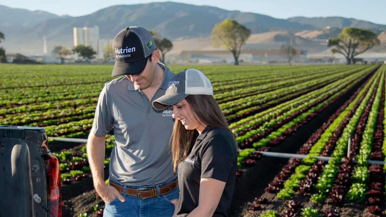 Nutrien en Chile: era vender o cerrar